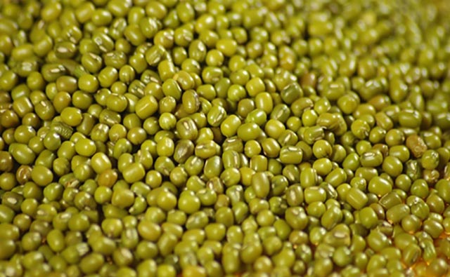 Green Gram